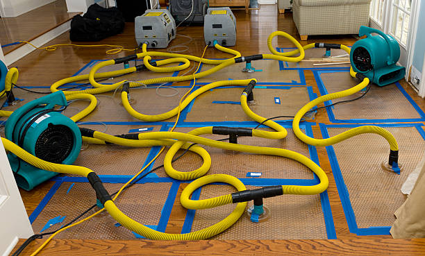 Professional Structural Drying And Dehumidification technician working in Garland, UT